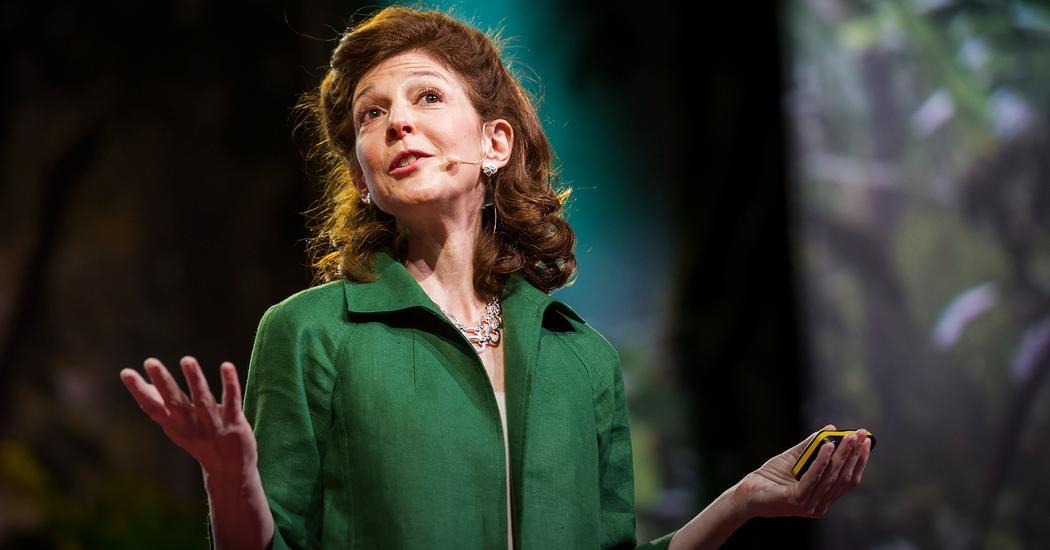 Picture of Pamela Meyer delivering her ted talk on "How to Spot a Liar," which included a powerful start intended to shock the audience