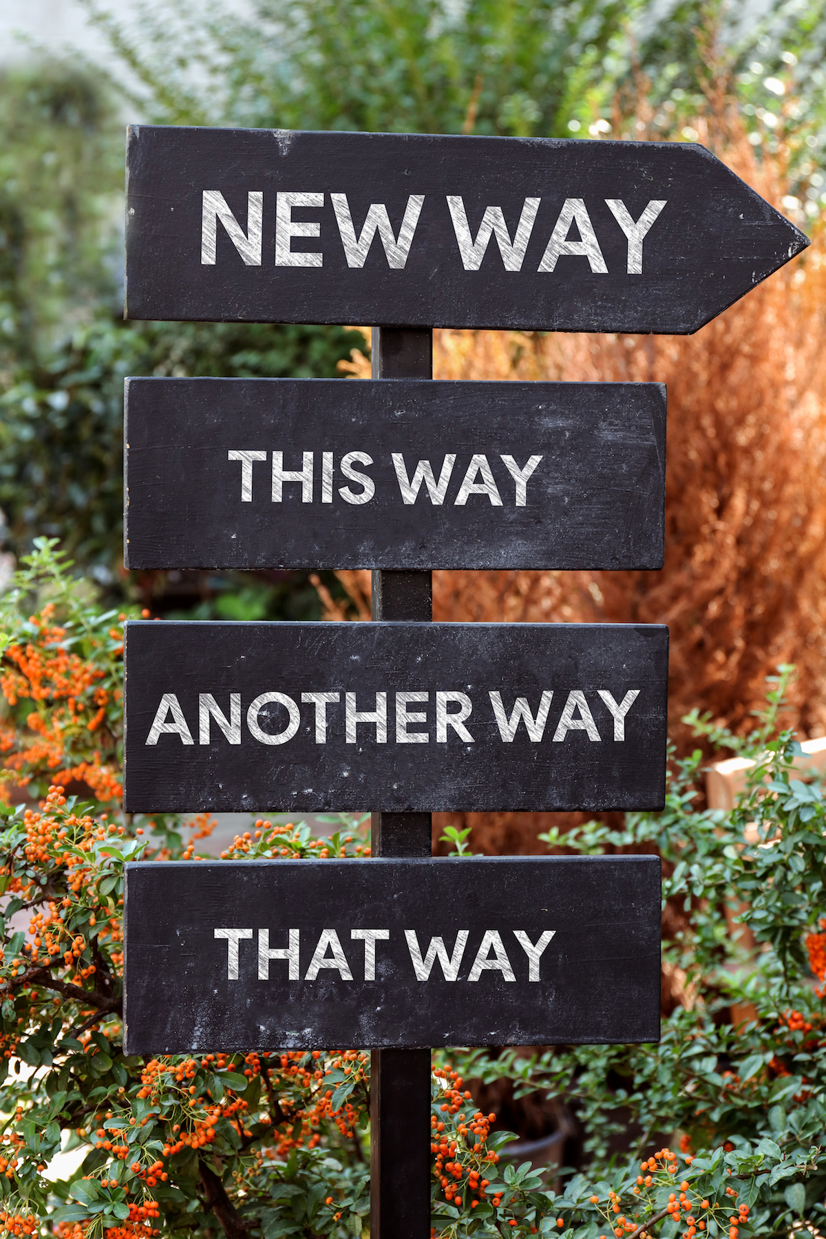 Signposts help your audience know where you are in your argument—where you're going—like this signpost image.